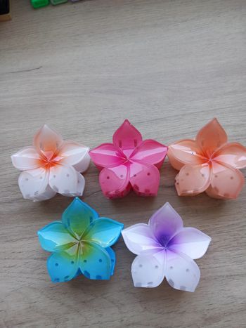 Lot de 5 pinces à cheveux fleurs 