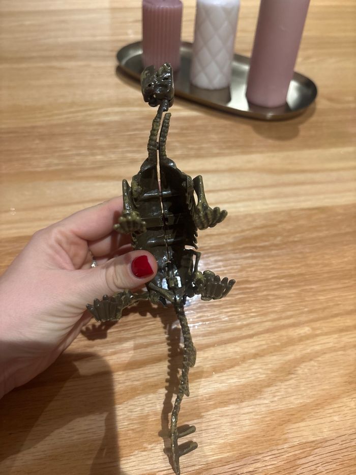 Dinosaure 🦕 - photo numéro 6