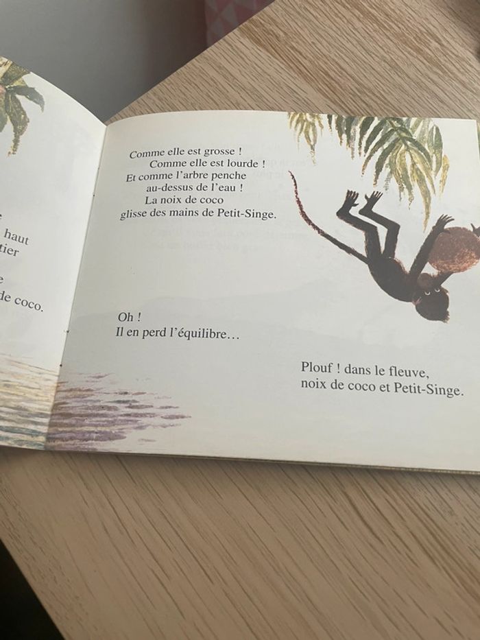 Une histoire de singe - photo numéro 3