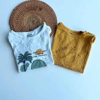 Lot 2 tee shirt Kiabi