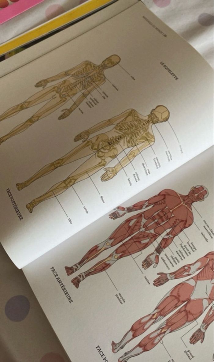 Livre massage du monde - photo numéro 6