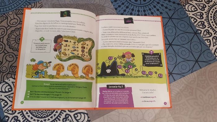 Le Journal de Barbe d'or le pirate - photo numéro 3