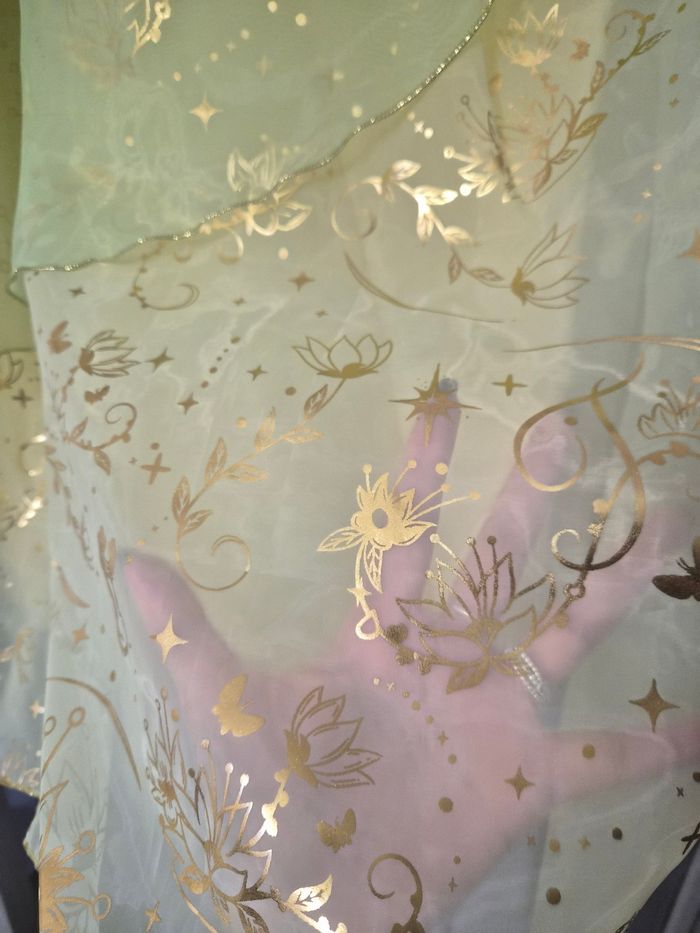 Magnifique déguisement Tiana 7/8 ans - photo numéro 2