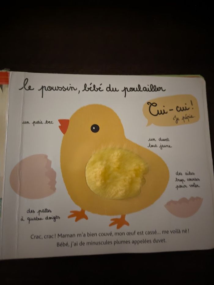 Mon premier tout-doux Noël - photo numéro 5