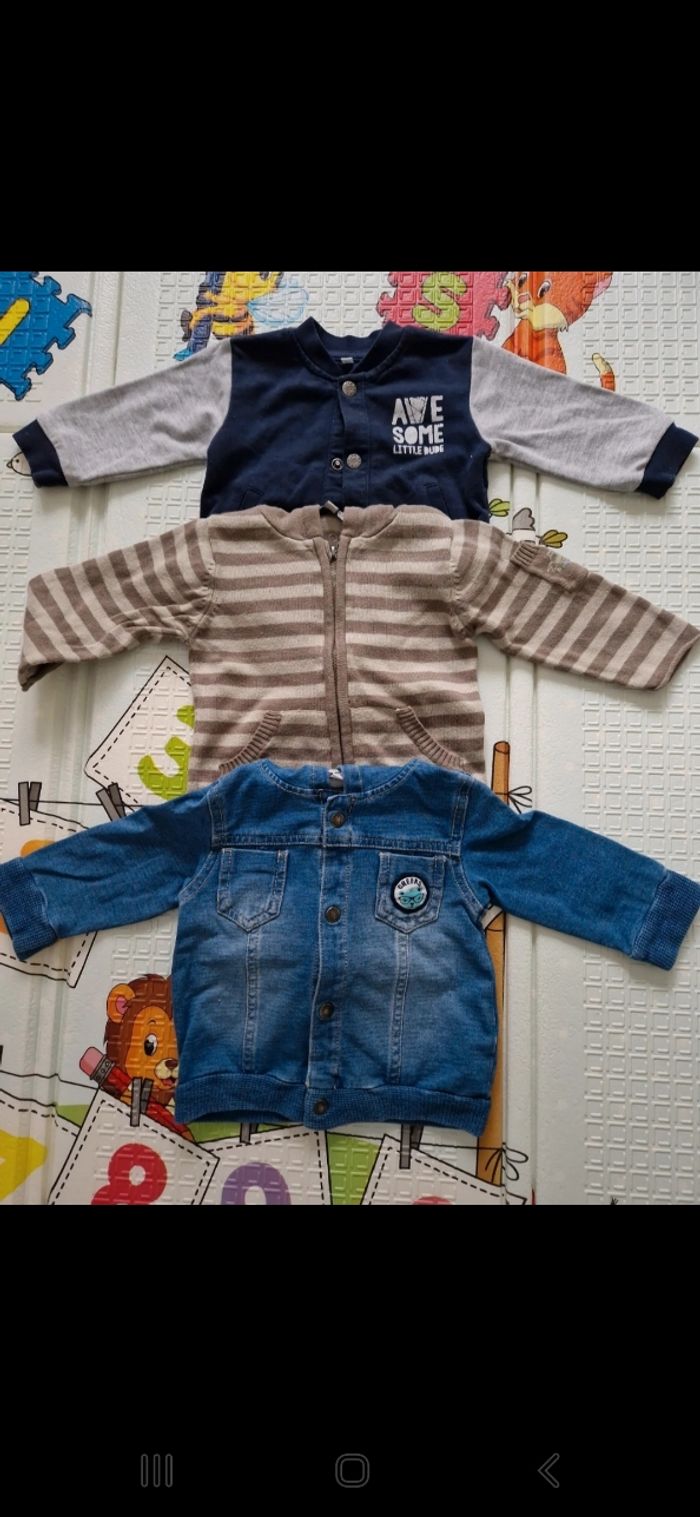 Vestes