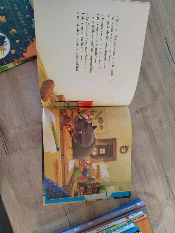 La maîtresse de lulu a disparu - photo numéro 3