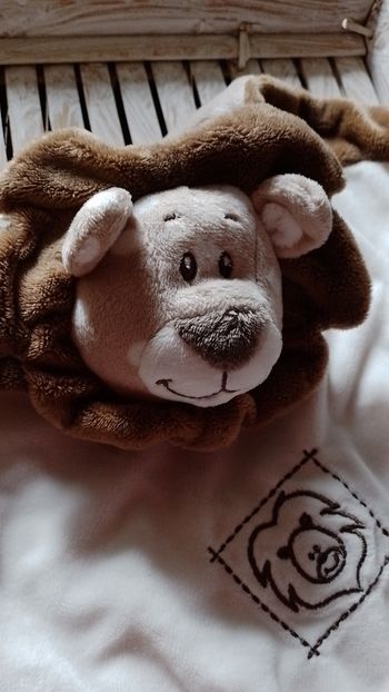 Doudou lion hochet
