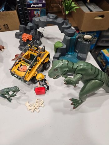 Playmobil dinosaure 5019