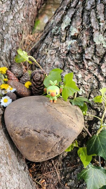 Super figurine Pokemon Nintendo Ouistempo