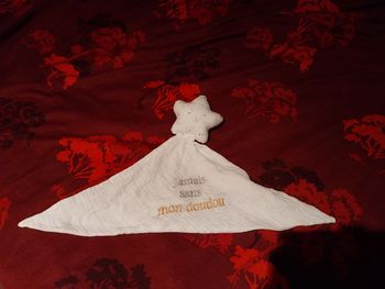Doudou étoile "jamais sans mon doudou"