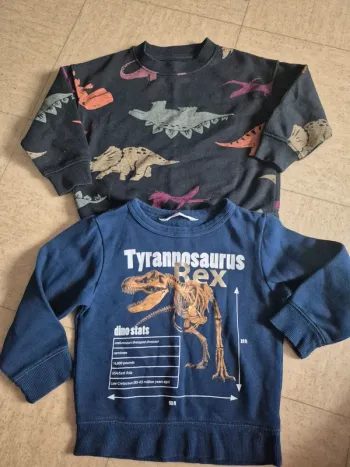 Pull Dinosaures 3/4 ans Primark H&M