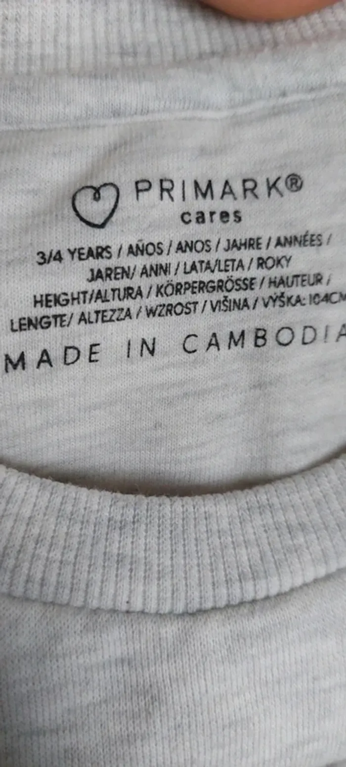 Sweat gris enfant Primark " Change the World" - en très bon état, taille 3-4 ans - photo numéro 2