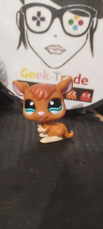 My Littlest Petshop Pet Shop LPS Authentic  Hasbro Kangaroo Kangourou 1111