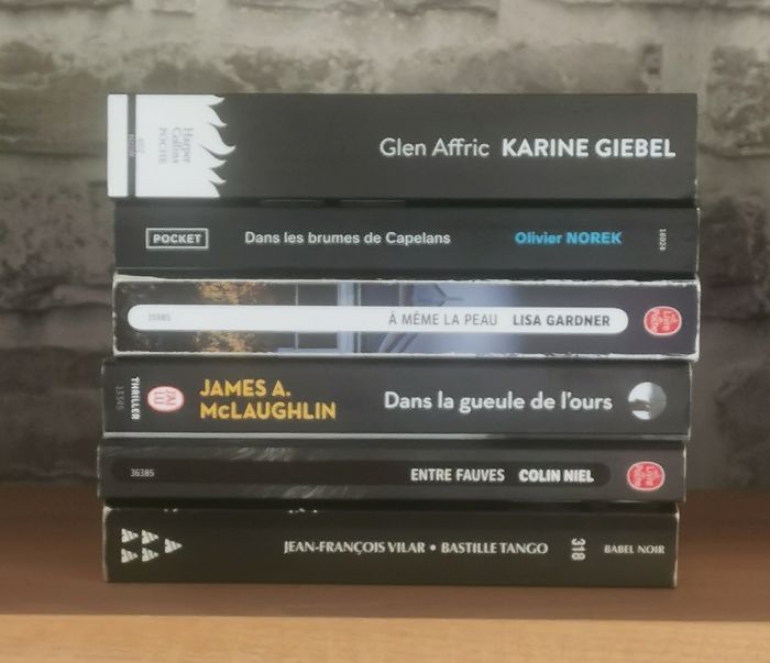 Lot 6 Thrillers format poche - photo numéro 4