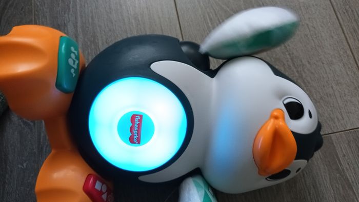 Valentin le pingouin - photo numéro 4