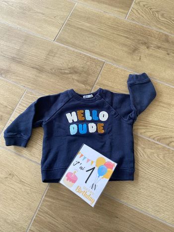 Pull Hello Dude Bout’chou 12 mois