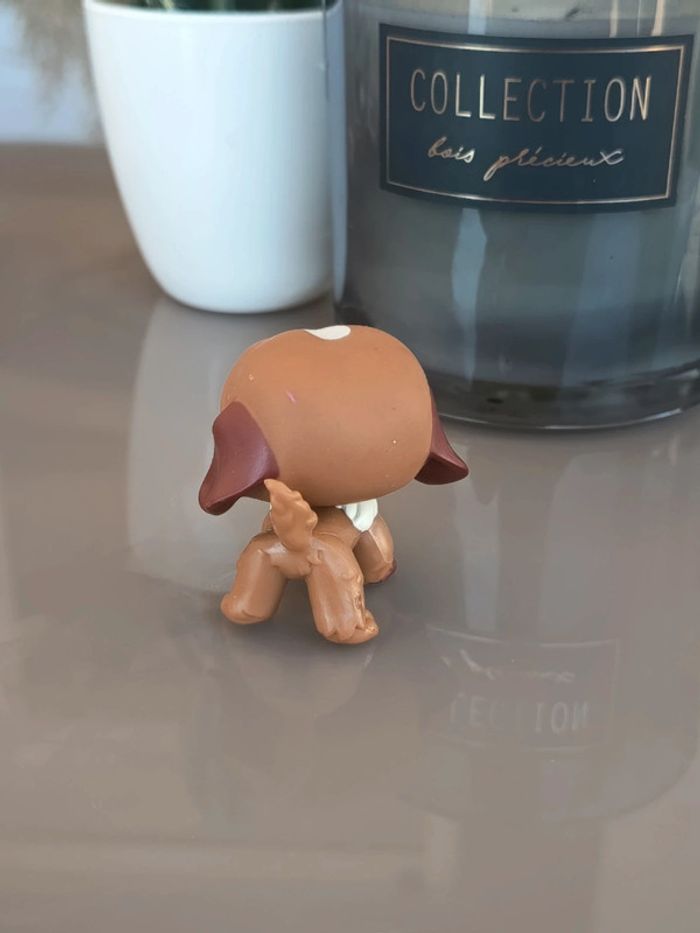 Littlest Pet Shop #729
Brown and white St. Bernard dog - photo numéro 2