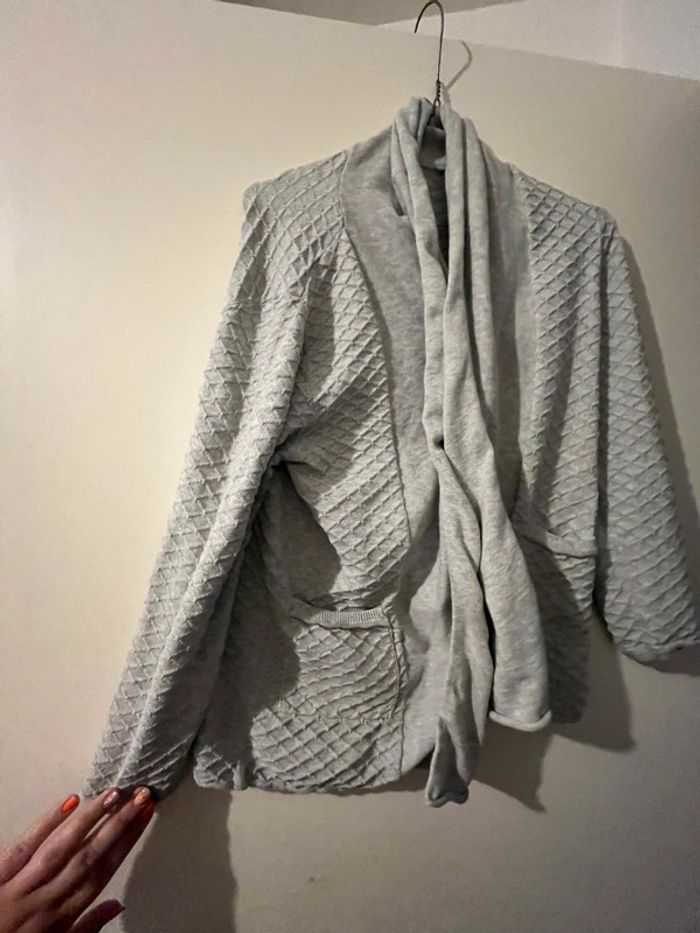 Gilet gris - photo numéro 2