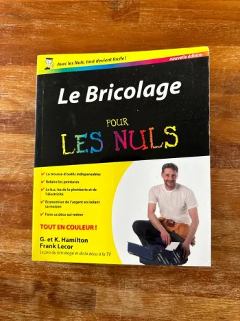 Livre le bricolage pour les nuls