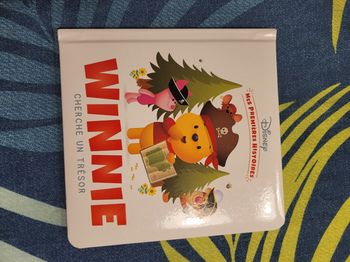 Livre winnie cherche un trésor Disney mes premières histoires
