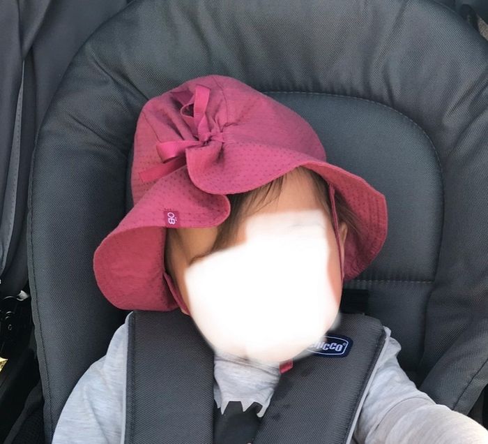 Bob Obaïdi rose 50cm 1an