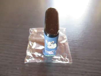 Montre numérique / digitale Pokémon neuve