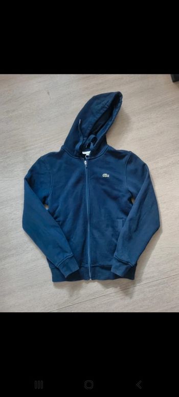 Veste Lacoste