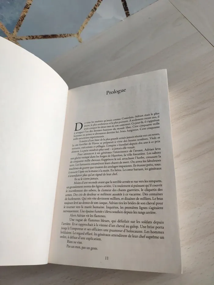 Livre grand format Elamia intégrale Wietzel fantasy - photo numéro 9