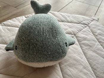 Baleine Moby bruits blancs