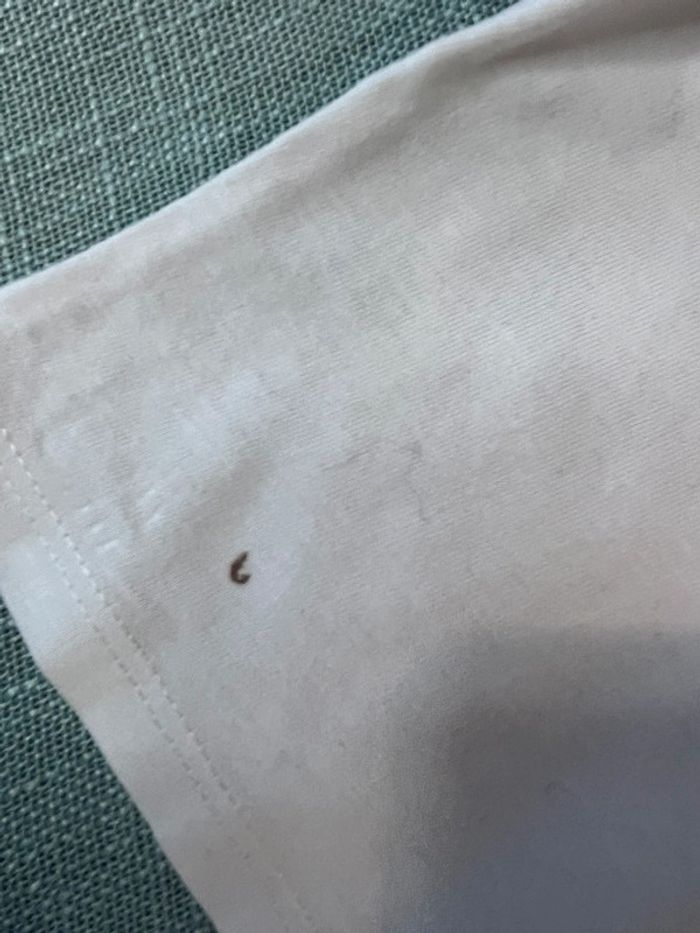 Lot 9 pièces taille 24 mois - photo numéro 9