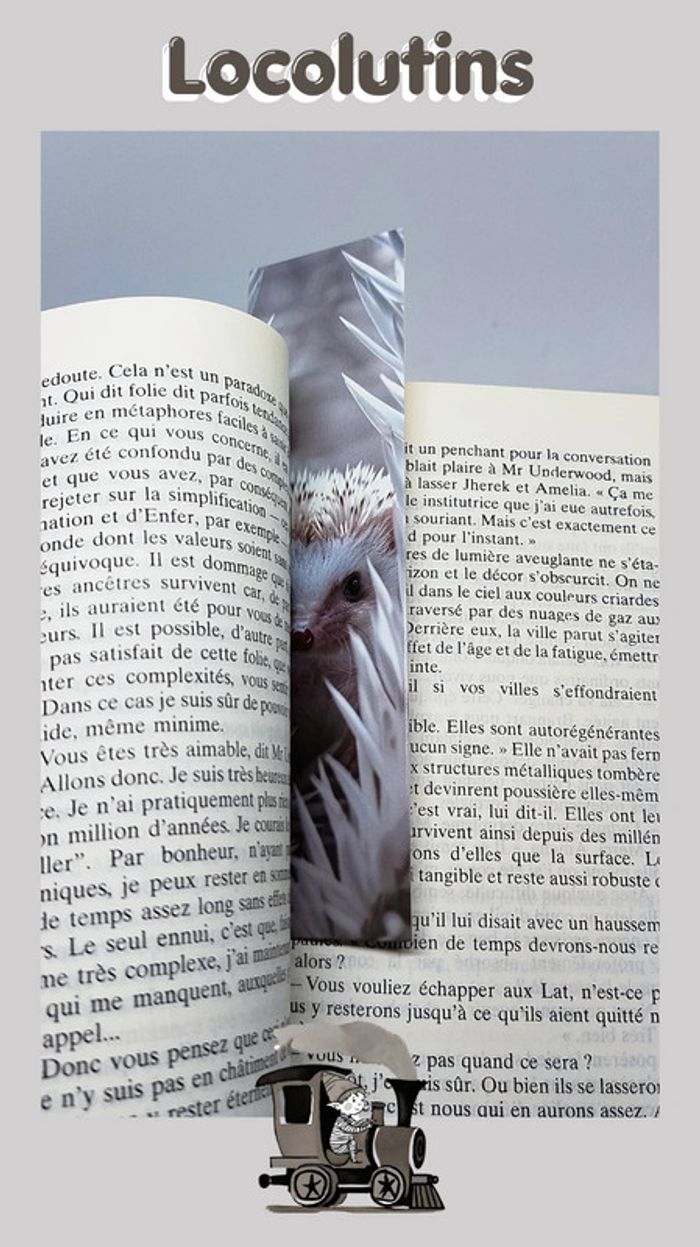 🚂 Marque page hérisson - photo numéro 3