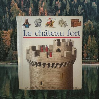Livre le château fort