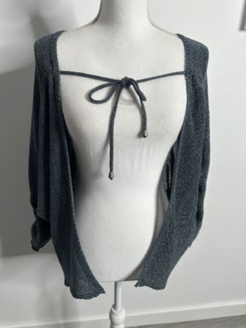 Cardigan gris bleu argenté Trend by Captain Tortue T36 S