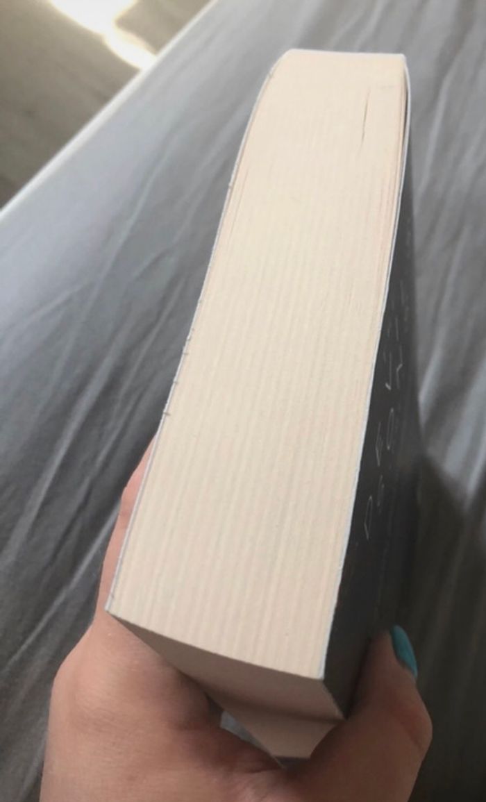 The devil’s sons tome 1 - photo numéro 5