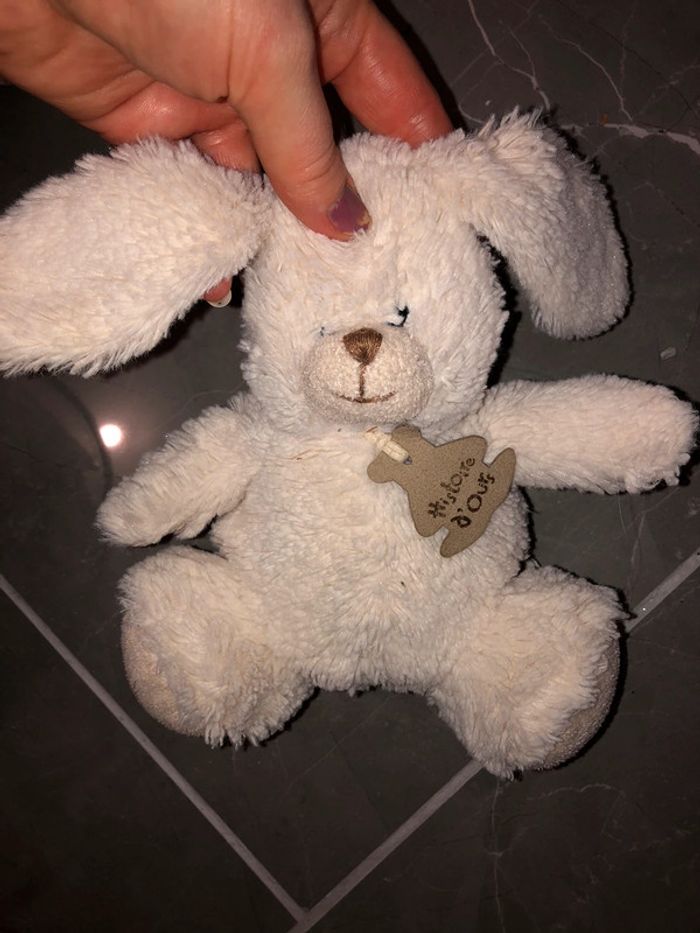 Lapin musical histoire d’ours