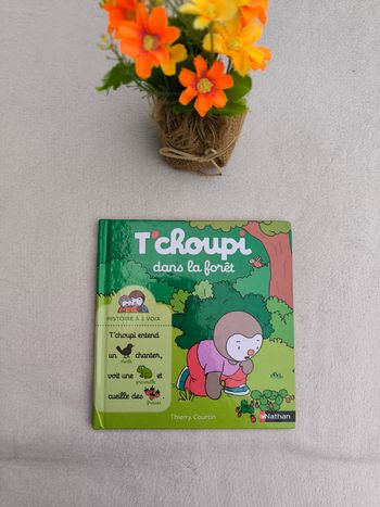 Livre T'choupi n°2