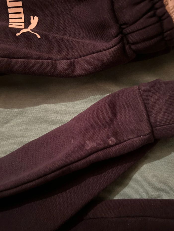 Un garçon, trois ans, puma - photo numéro 2