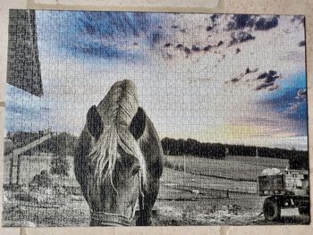 Puzzle cheval de trait 🧩