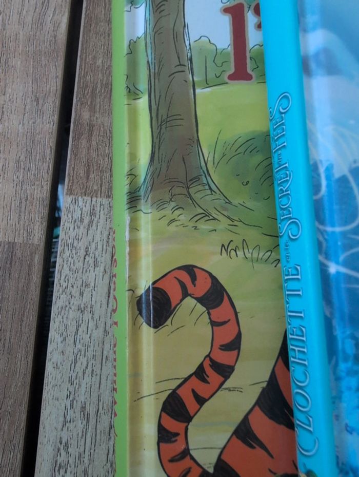Lot livres Disney - Édition France Loisirs - photo numéro 15