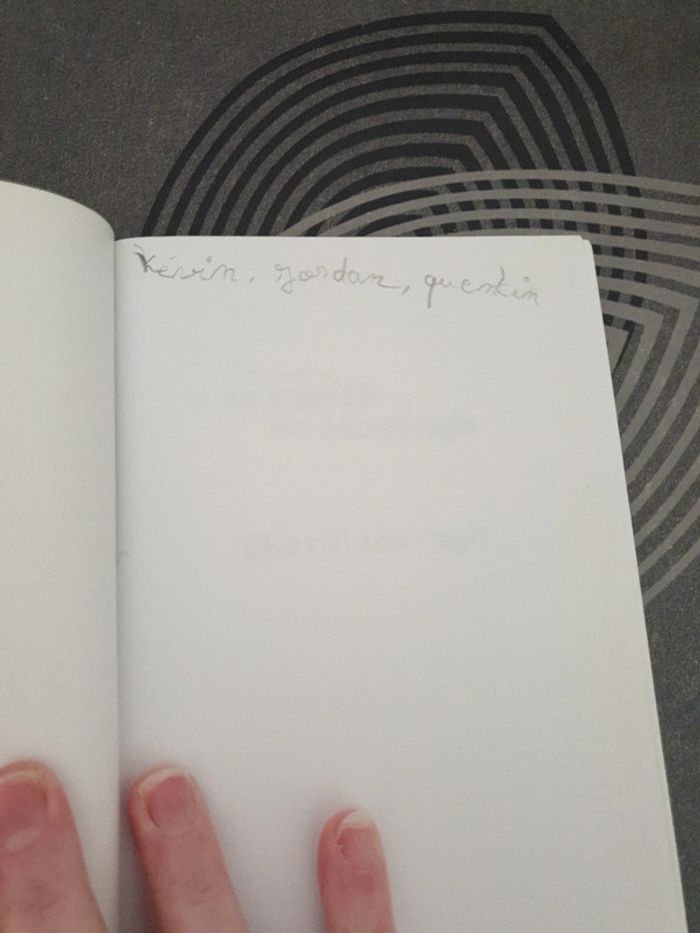 Le ranch des mustangs - cheval sauvage - photo numéro 2