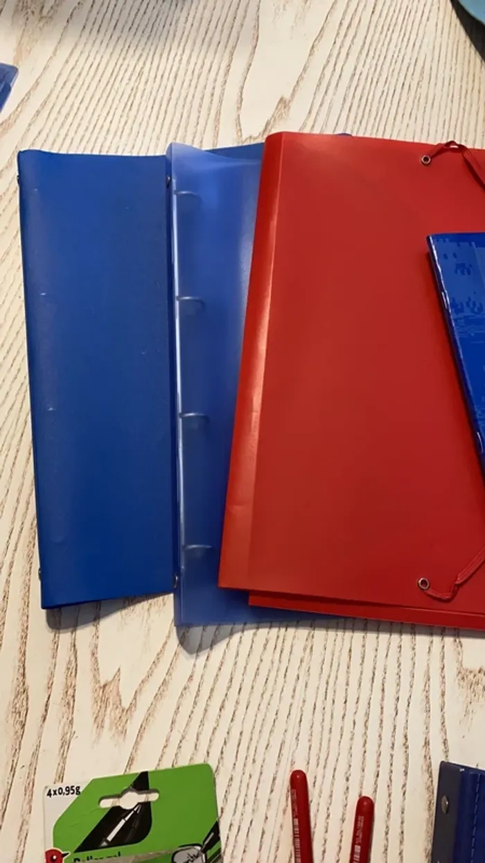 gros lot scolaires classeurs cahiers trieurs porte vues etc - photo numéro 2