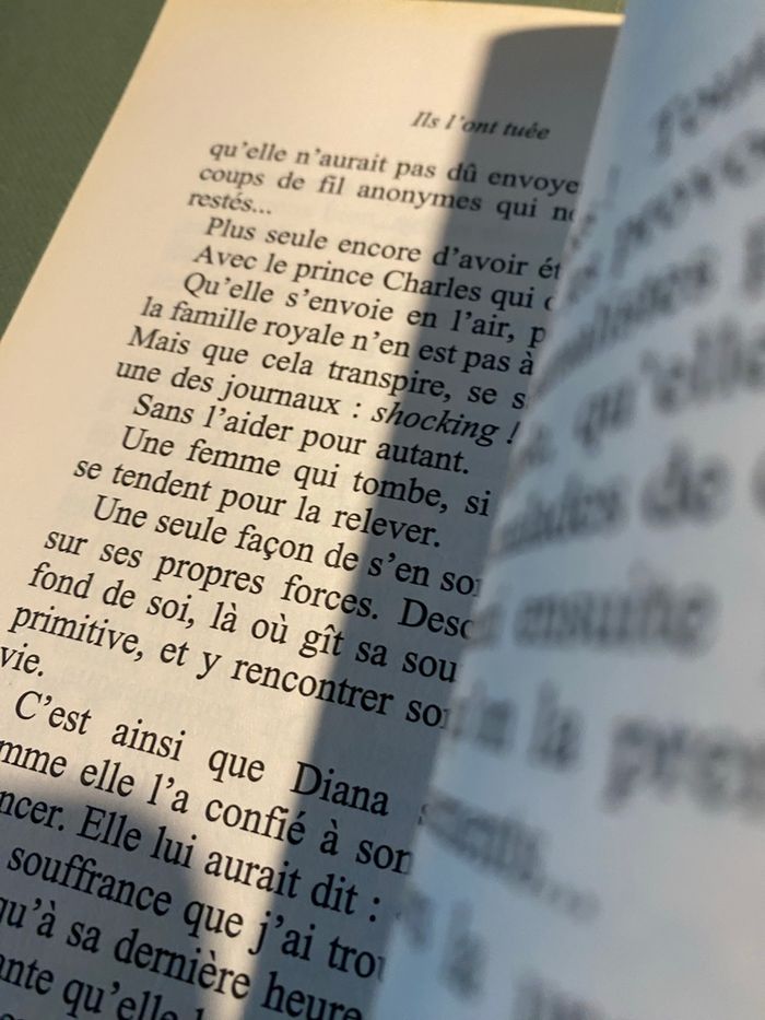 Livre "Ils l'ont tuée" - Madeleine Chapsal (Hommage à Lady Di) - photo numéro 2