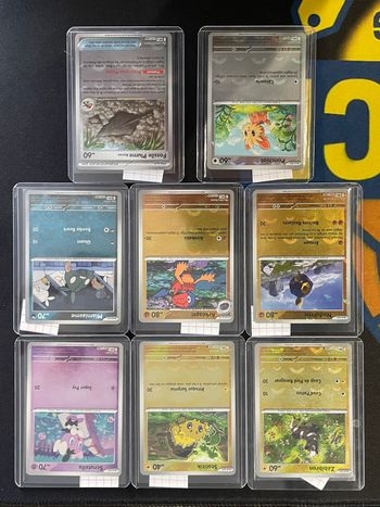 Lot de 8 cartes version pokeball - WHT - FR - Flammes Blanches