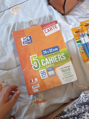Lot de 5 cahiers 24×32 cm oxford