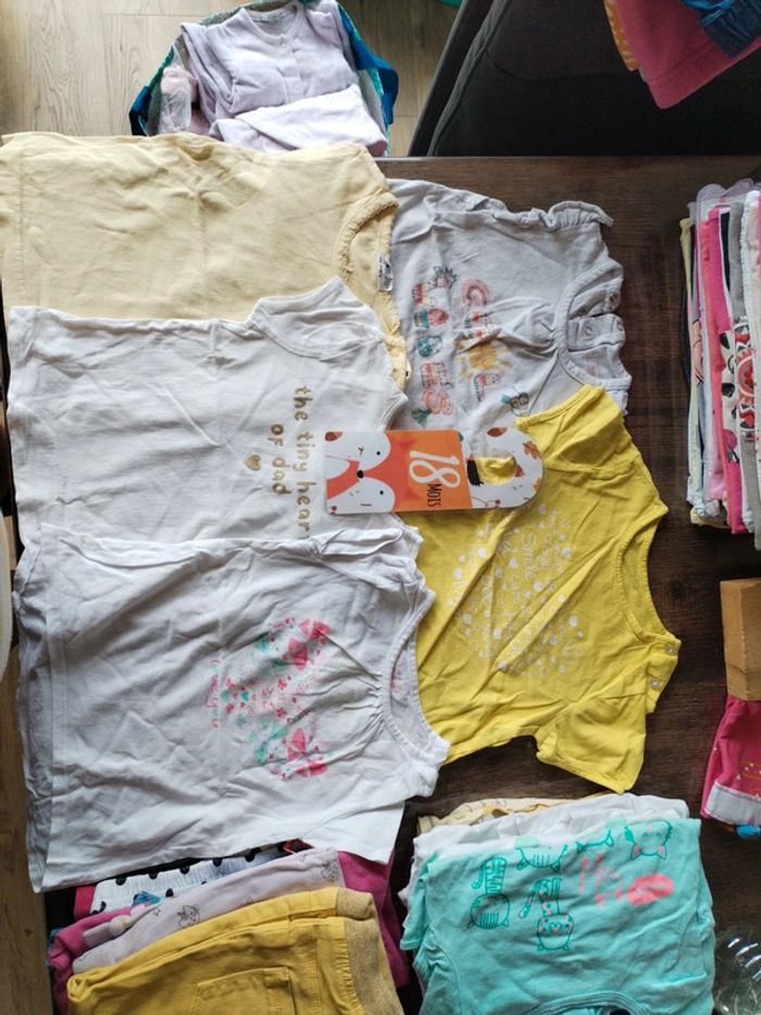 Lot de 5 t-shirt manche courte