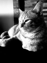 profil