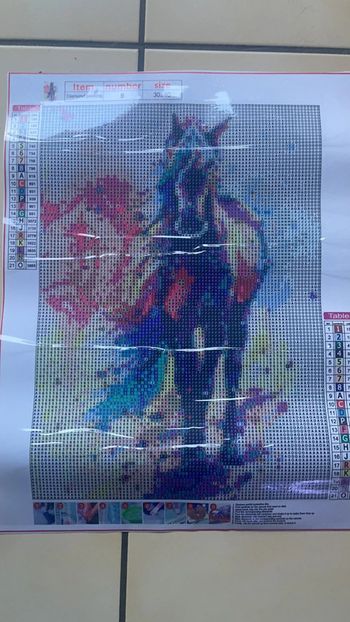 Toile Diamond Painting 30x40cm n°35