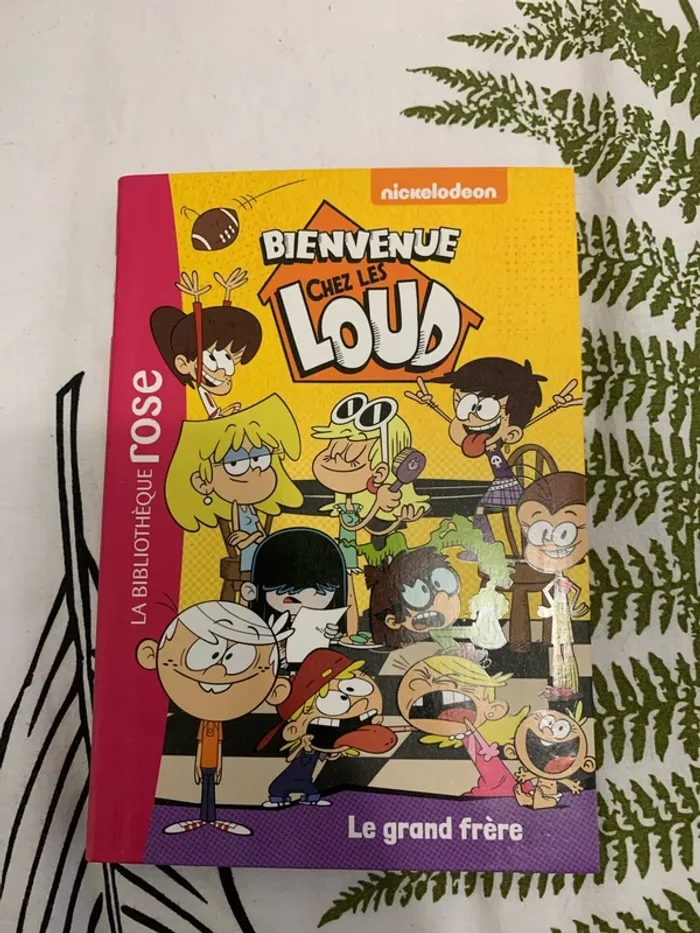 Livre bienvenue chez les loud