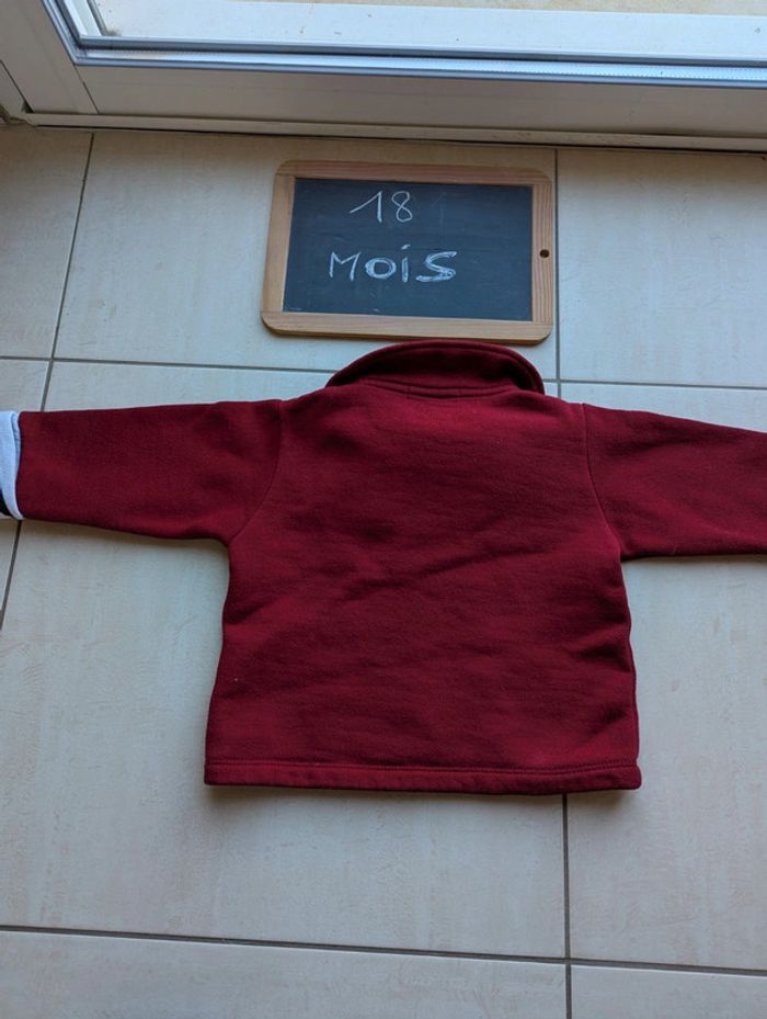 Sweat marin Terre de Marin 18 mois mixte - photo numéro 5