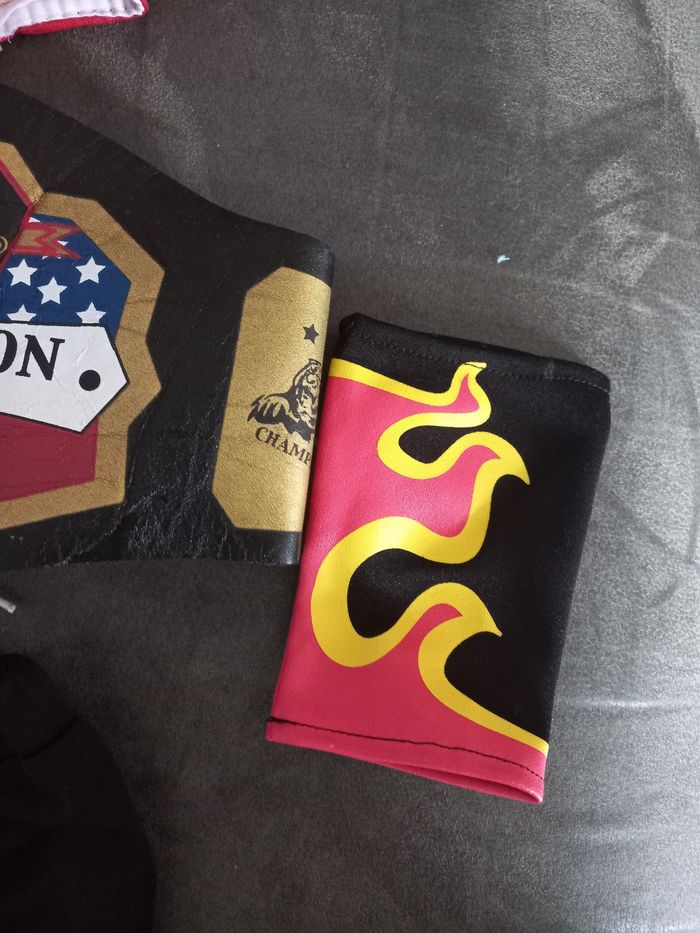 Deguisement catcheur à partir de 4 ans rubies - photo numéro 4